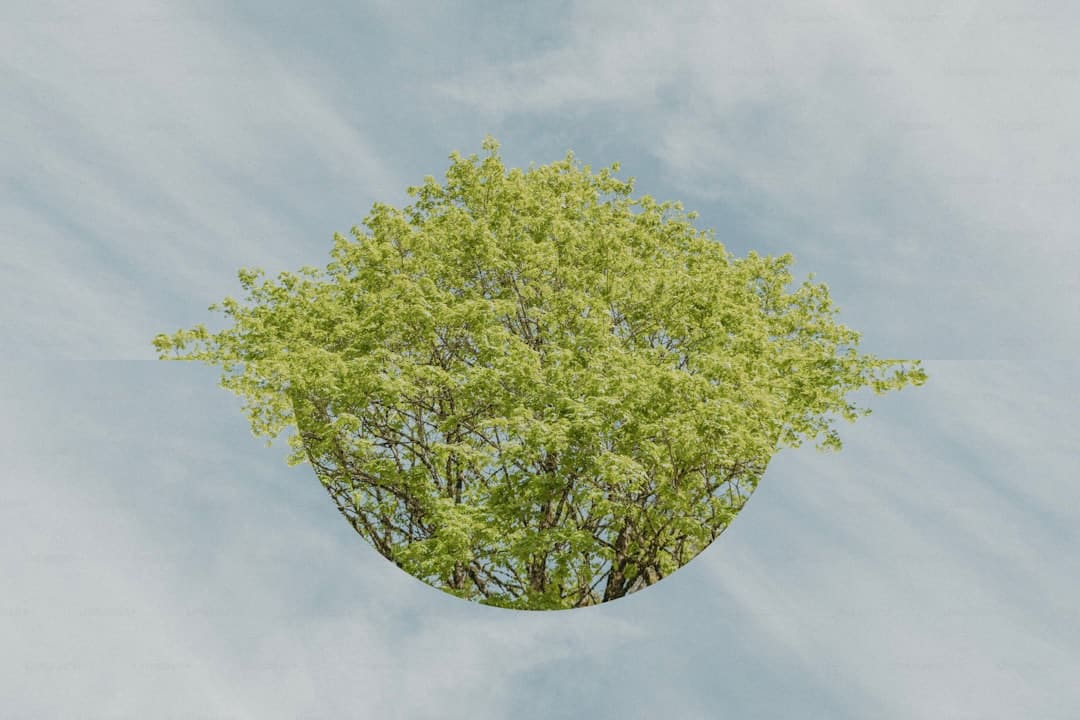 “印度首部AI电影”计划明年上映